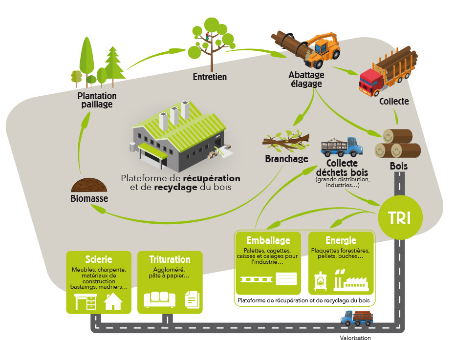 Schéma de la plateforme de récupération et de recyclage du bois